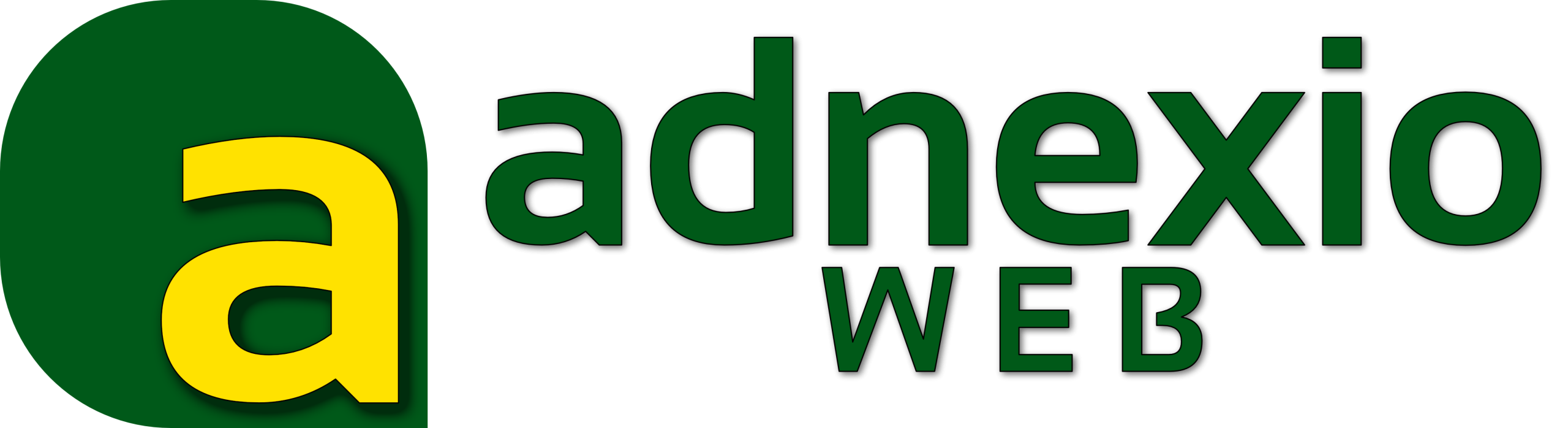 adnexio logotype for website